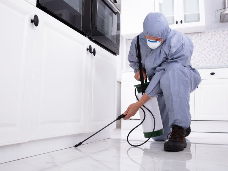 000016_dedetizaÃ§Ã£o residencial.png